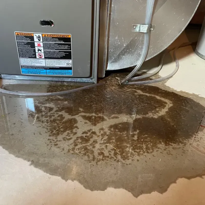 Appliance Leak Cleanup in Enterprise, NV